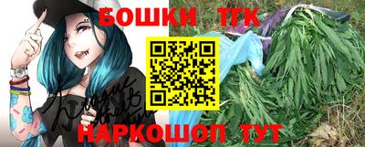 тгк Новодвинск