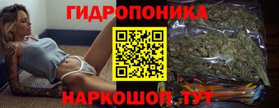тгк Новодвинск