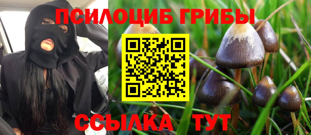 Галлюциногенные грибы Cubensis  Вход с VPN  Таганрог  Галлюциногенные грибы ЛСД 